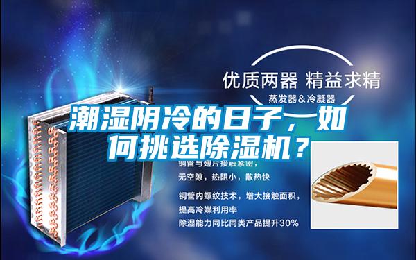 潮濕陰冷的日子，如何挑選除濕機？