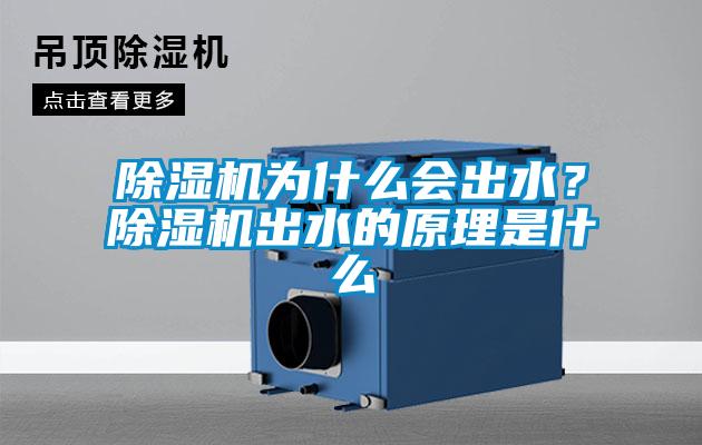 除濕機(jī)為什么會(huì)出水？除濕機(jī)出水的原理是什么