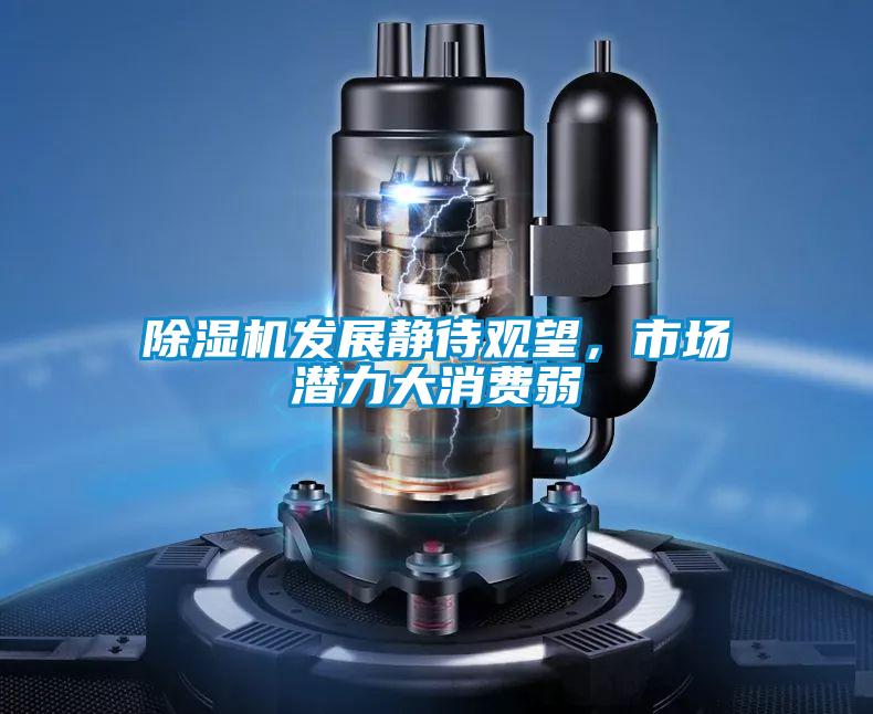除濕機(jī)發(fā)展靜待觀望，市場(chǎng)潛力大消費(fèi)弱