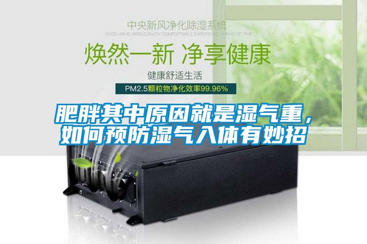 肥胖其中原因就是濕氣重，如何預(yù)防濕氣入體有妙招