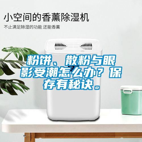 粉餅、散粉與眼影受潮怎么辦？保存有秘訣。