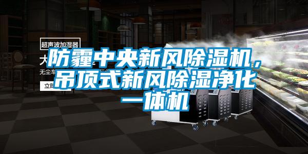 防霾中央新風(fēng)除濕機(jī)，吊頂式新風(fēng)除濕凈化一體機(jī)