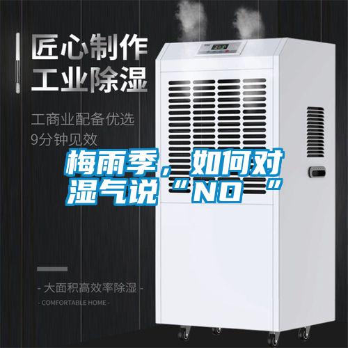 梅雨季，如何對(duì)濕氣說“NO ”