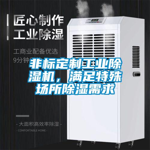 非標定制工業(yè)除濕機，滿足特殊場所除濕需求