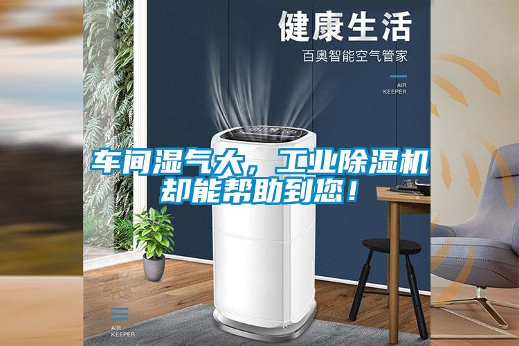 車間濕氣大，工業(yè)除濕機卻能幫助到您！