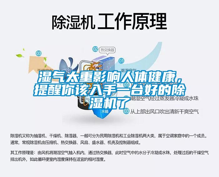 濕氣太重影響人體健康，提醒你該入手一臺好的除濕機了