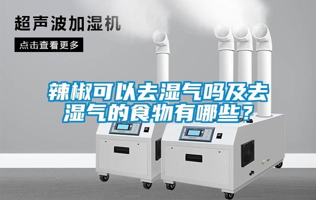 辣椒可以去濕氣嗎及去濕氣的食物有哪些？