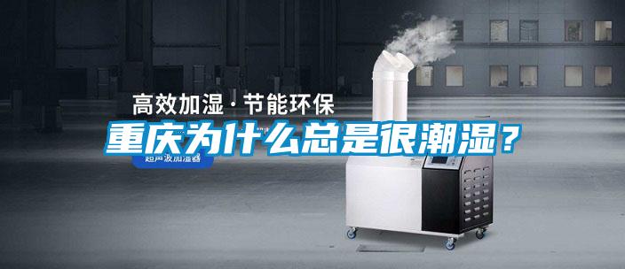 重慶為什么總是很潮濕？