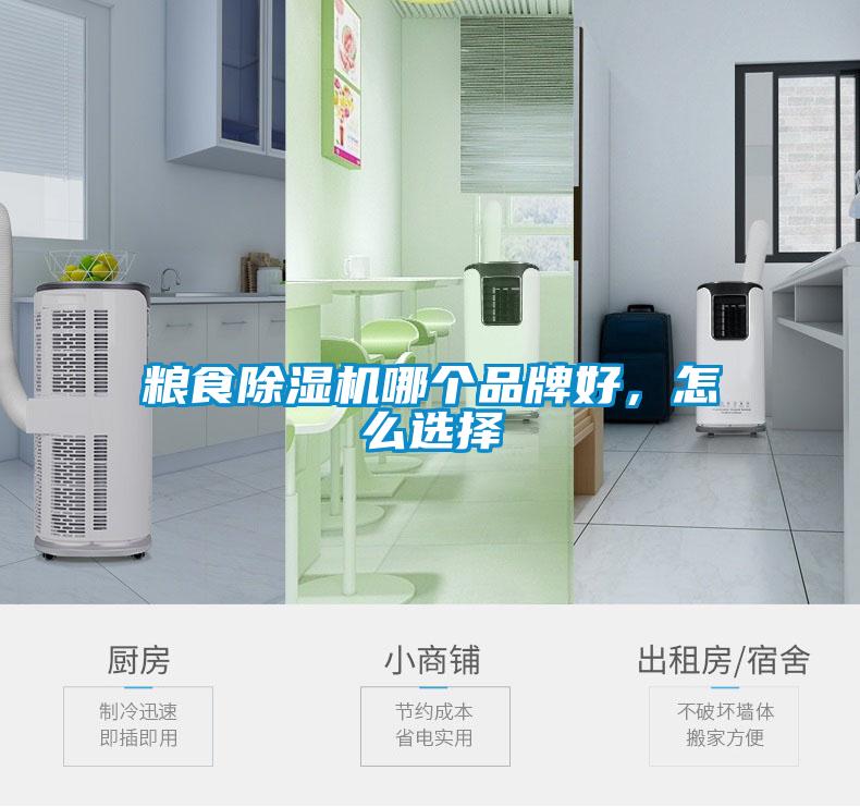 糧食除濕機(jī)哪個(gè)品牌好，怎么選擇
