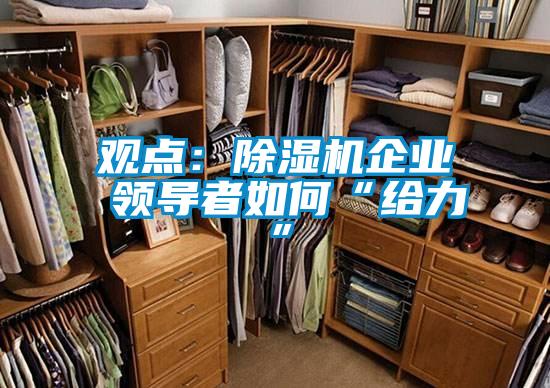 觀點：除濕機企業(yè) 領(lǐng)導(dǎo)者如何“給力”