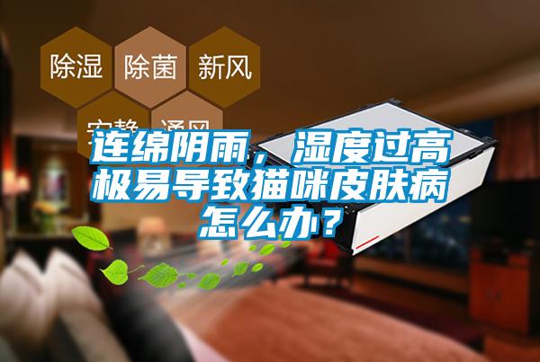 連綿陰雨，濕度過(guò)高極易導(dǎo)致貓咪皮膚病怎么辦？