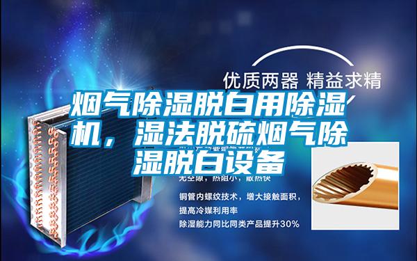 煙氣除濕脫白用除濕機(jī)，濕法脫硫煙氣除濕脫白設(shè)備
