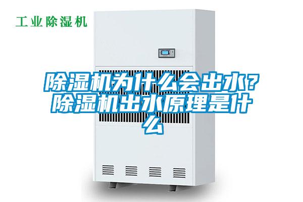 除濕機(jī)為什么會(huì)出水？除濕機(jī)出水原理是什么