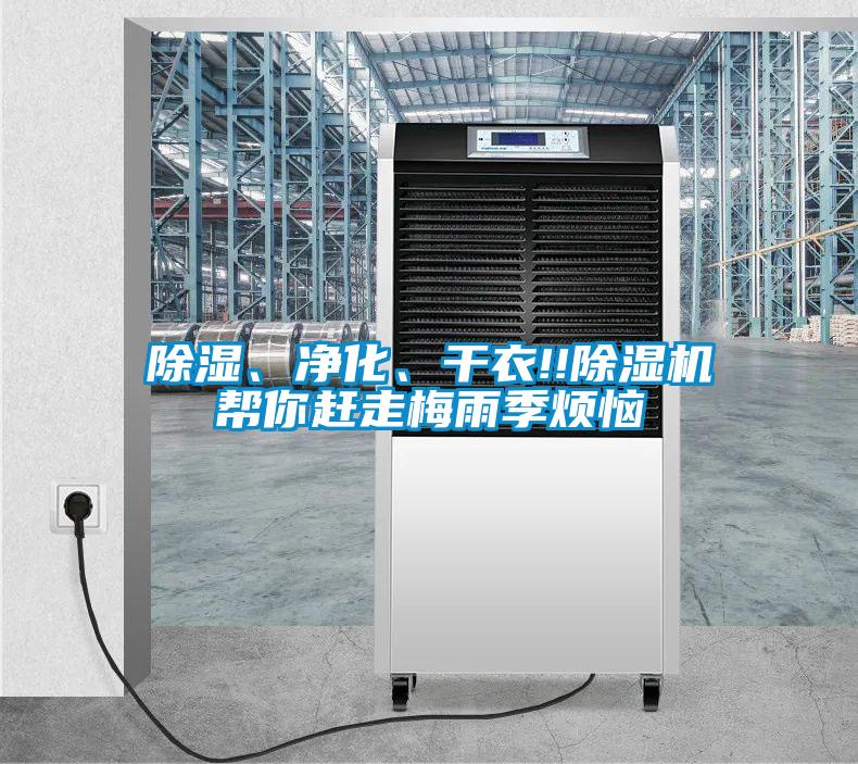 除濕、凈化、干衣!!除濕機(jī)幫你趕走梅雨季煩惱