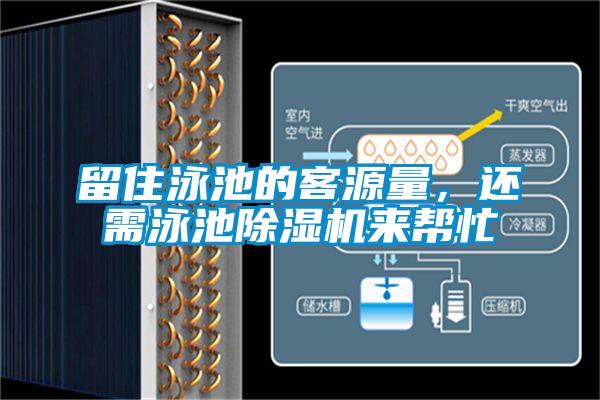 留住泳池的客源量，還需泳池除濕機來幫忙
