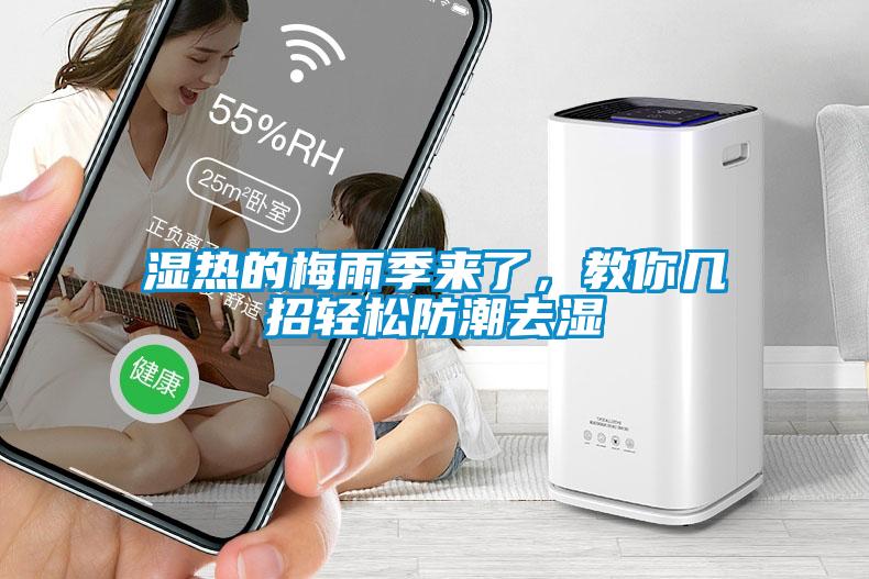 濕熱的梅雨季來了，教你幾招輕松防潮去濕