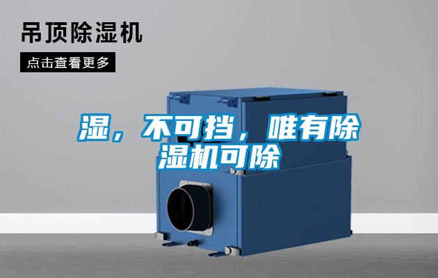 濕，不可擋，唯有除濕機可除