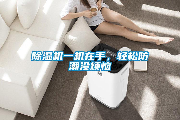 除濕機一機在手，輕松防潮沒煩惱