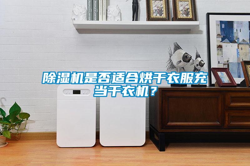 除濕機(jī)是否適合烘干衣服充當(dāng)干衣機(jī)？