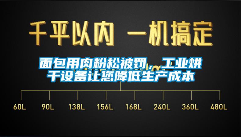 面包用肉粉松被罰，工業(yè)烘干設(shè)備讓您降低生產(chǎn)成本