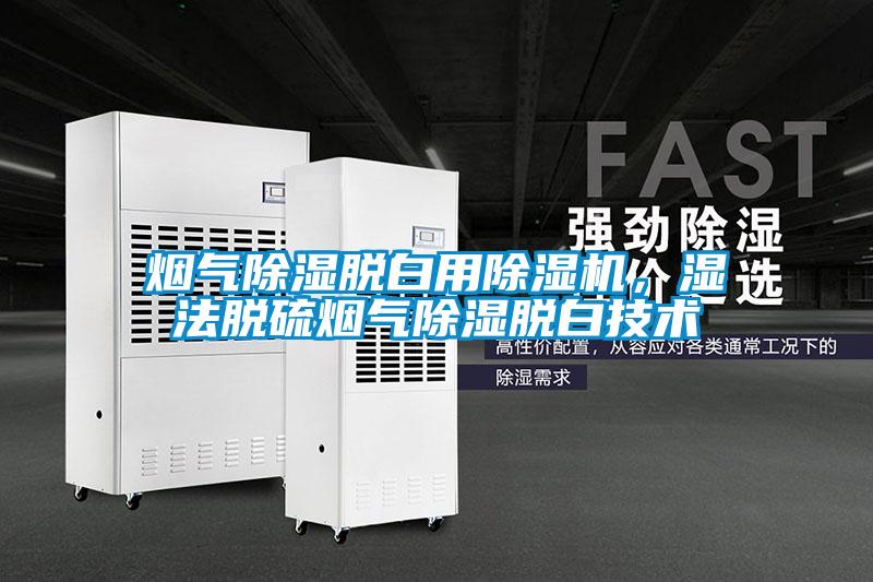 煙氣除濕脫白用除濕機(jī)，濕法脫硫煙氣除濕脫白技術(shù)