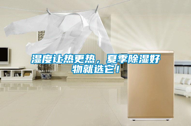 濕度讓熱更熱，夏季除濕好物就選它！