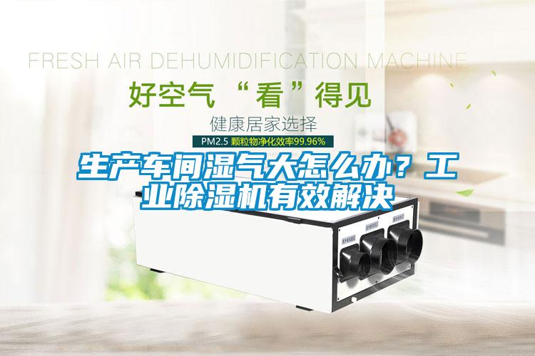 生產(chǎn)車間濕氣大怎么辦？工業(yè)除濕機有效解決