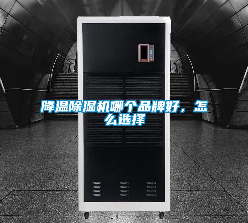 降溫除濕機(jī)哪個(gè)品牌好，怎么選擇