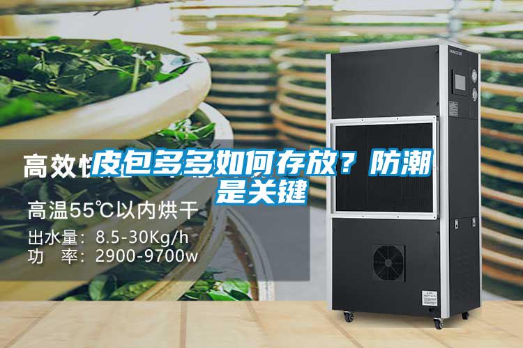 皮包多多如何存放？防潮是關(guān)鍵