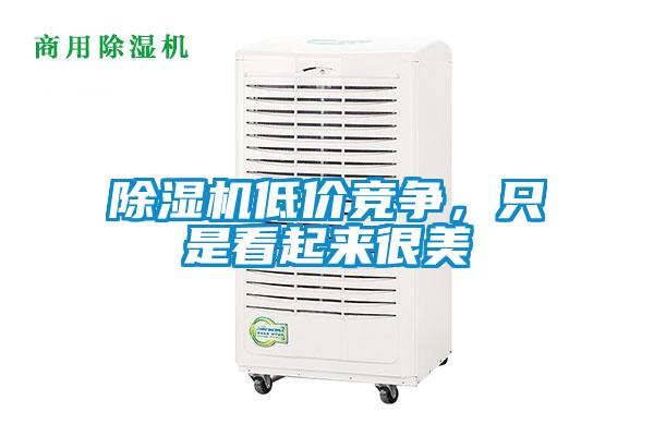 除濕機(jī)低價(jià)競(jìng)爭(zhēng)，只是看起來(lái)很美