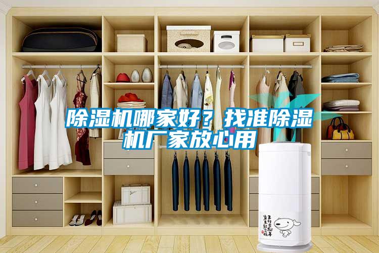 除濕機哪家好？找準(zhǔn)除濕機廠家放心用