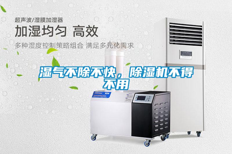 濕氣不除不快，除濕機(jī)不得不用