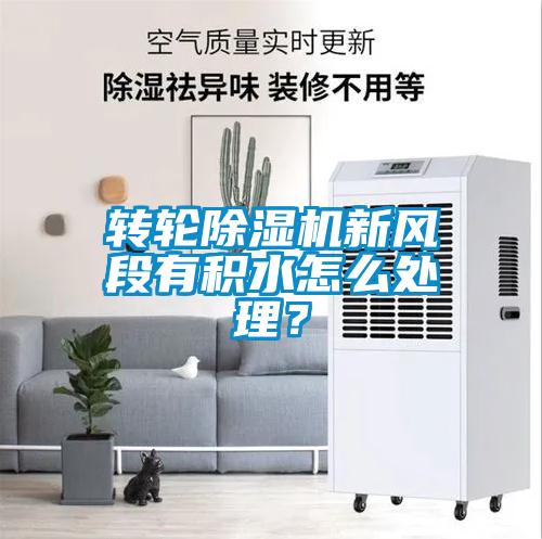 轉(zhuǎn)輪除濕機(jī)新風(fēng)段有積水怎么處理？