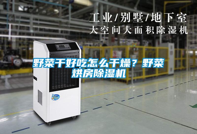 野菜干好吃怎么干燥？野菜烘房除濕機