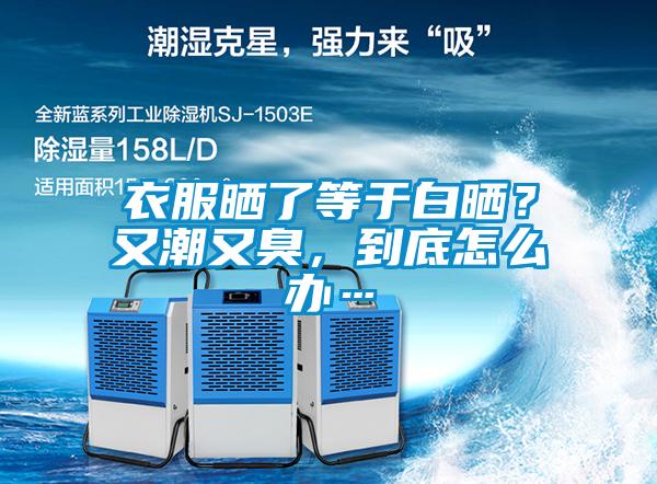 衣服曬了等于白曬？又潮又臭，到底怎么辦…