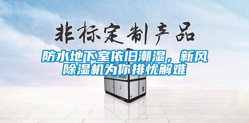 防水地下室依舊潮濕，新風(fēng)除濕機(jī)為你排憂解難