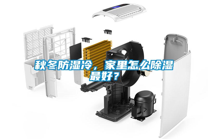 秋冬防濕冷，家里怎么除濕最好？