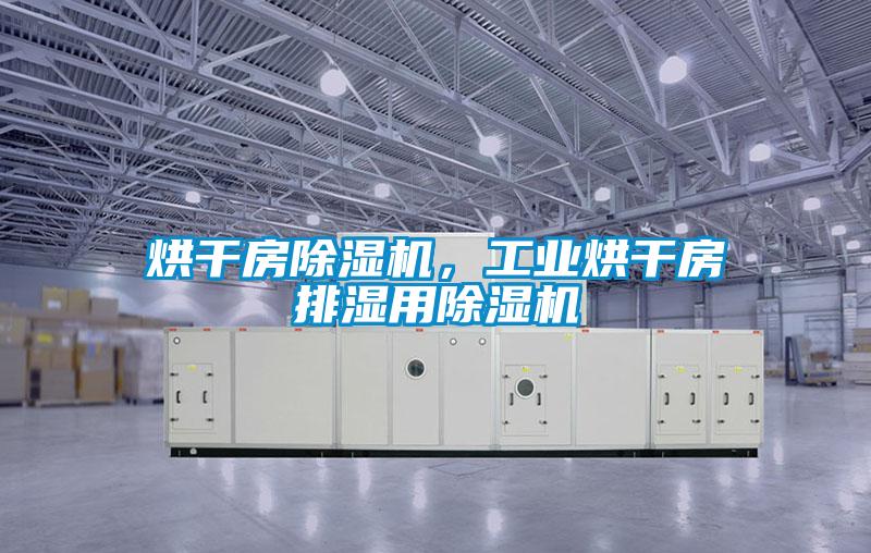 烘干房除濕機，工業(yè)烘干房排濕用除濕機