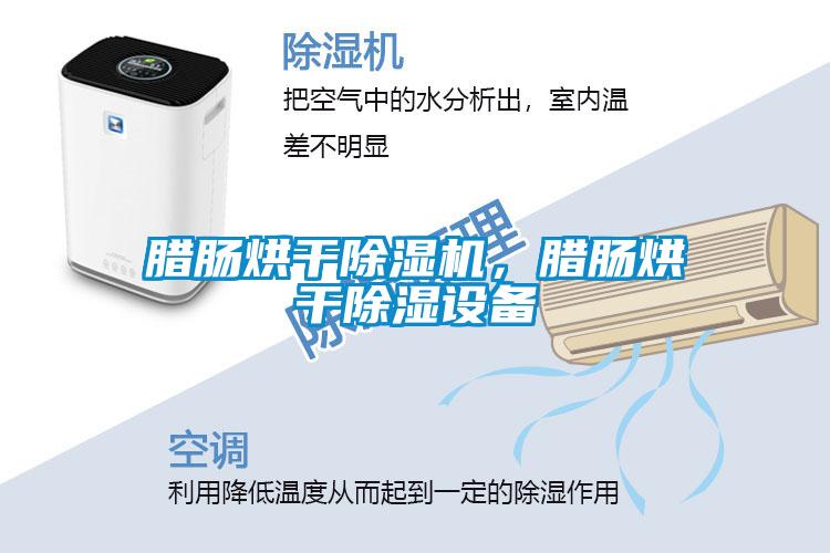 臘腸烘干除濕機(jī)，臘腸烘干除濕設(shè)備