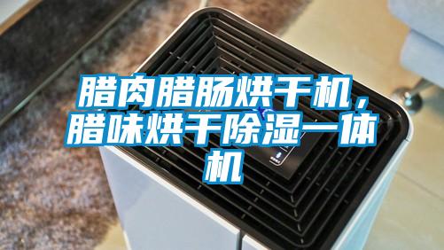 臘肉臘腸烘干機，臘味烘干除濕一體機