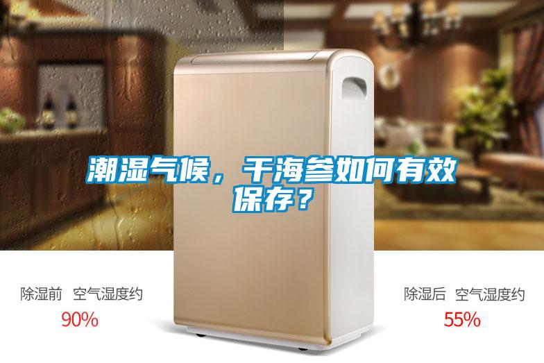 潮濕氣候，干海參如何有效保存？