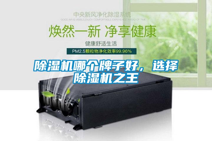 除濕機(jī)哪個(gè)牌子好，選擇除濕機(jī)之王