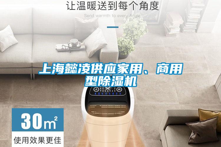 上海懿凌供應家用、商用型除濕機