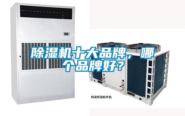 除濕機十大品牌，哪個品牌好？