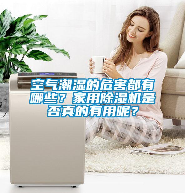空氣潮濕的危害都有哪些？家用除濕機(jī)是否真的有用呢？