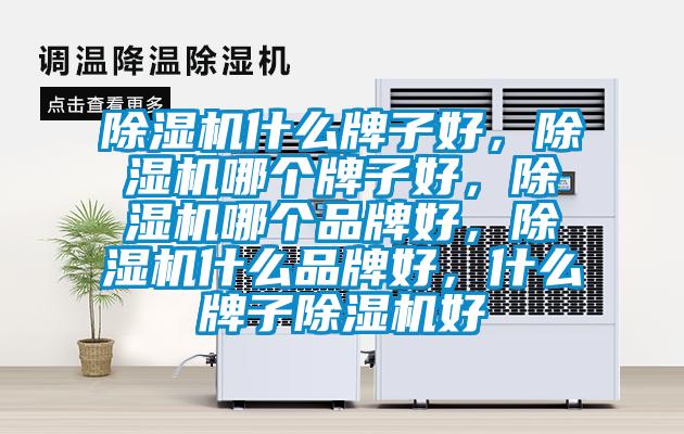 除濕機什么牌子好，除濕機哪個牌子好，除濕機哪個品牌好，除濕機什么品牌好，什么牌子除濕機好