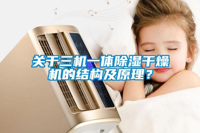 關(guān)于三機(jī)一體除濕干燥機(jī)的結(jié)構(gòu)及原理？