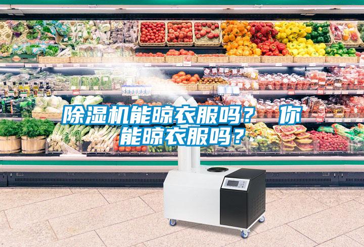 除濕機(jī)能晾衣服嗎？ 你能晾衣服嗎？