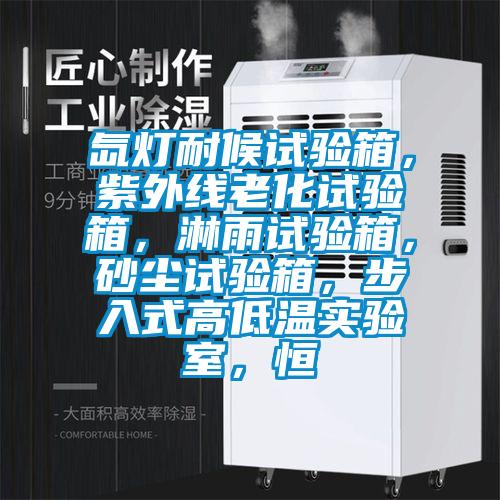 氙燈耐候試驗箱，紫外線老化試驗箱，淋雨試驗箱，砂塵試驗箱，步入式高低溫實驗室，恒