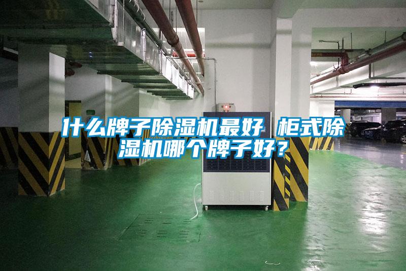 什么牌子除濕機(jī)最好 柜式除濕機(jī)哪個牌子好？